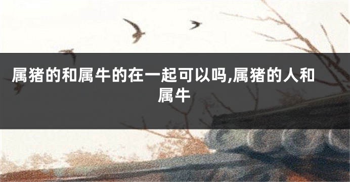 属猪的和属牛的在一起可以吗,属猪的人和属牛