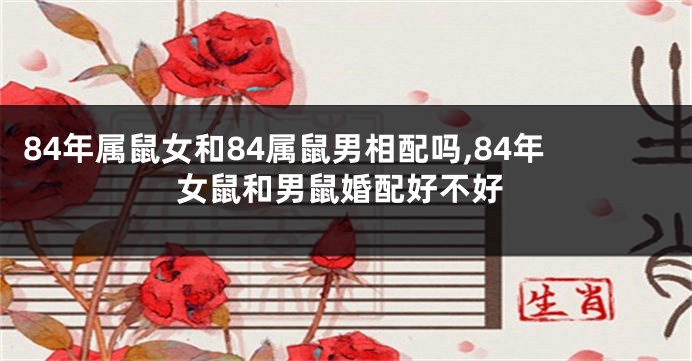84年属鼠女和84属鼠男相配吗,84年女鼠和男鼠婚配好不好