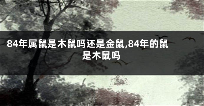 84年属鼠是木鼠吗还是金鼠,84年的鼠是木鼠吗