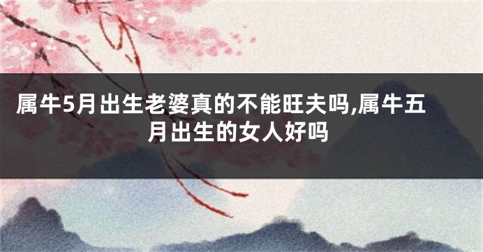 属牛5月出生老婆真的不能旺夫吗,属牛五月出生的女人好吗