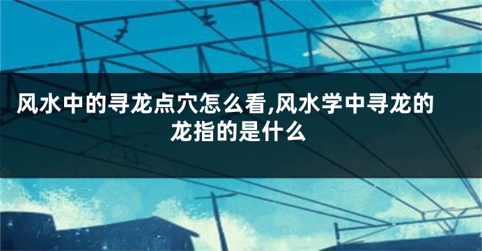 风水中的寻龙点穴怎么看,风水学中寻龙的龙指的是什么
