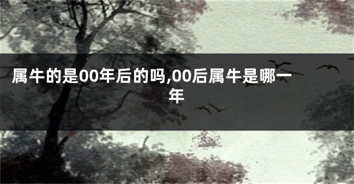 属牛的是00年后的吗,00后属牛是哪一年