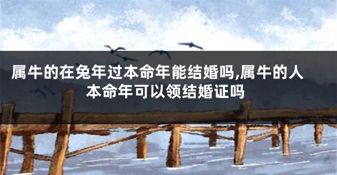属牛的在兔年过本命年能结婚吗,属牛的人本命年可以领结婚证吗