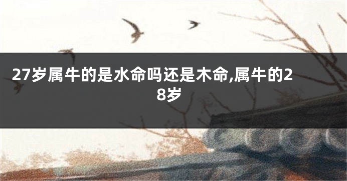 27岁属牛的是水命吗还是木命,属牛的28岁