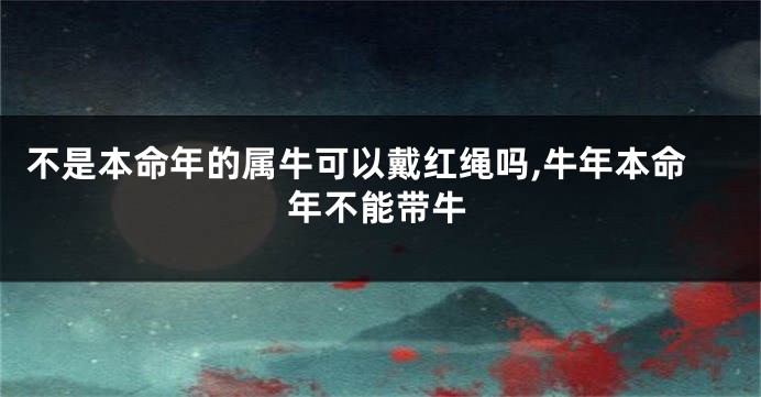 不是本命年的属牛可以戴红绳吗,牛年本命年不能带牛