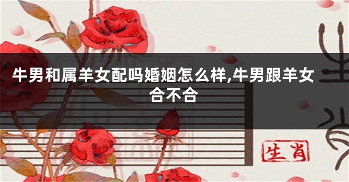 牛男和属羊女配吗婚姻怎么样,牛男跟羊女合不合