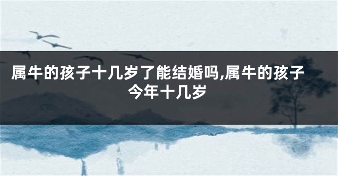 属牛的孩子十几岁了能结婚吗,属牛的孩子今年十几岁