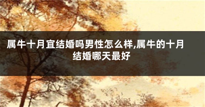 属牛十月宜结婚吗男性怎么样,属牛的十月结婚哪天最好