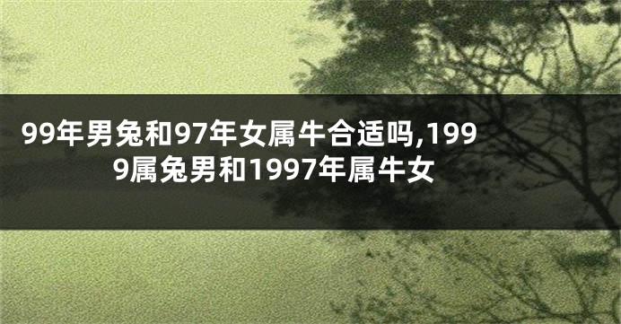 99年男兔和97年女属牛合适吗,1999属兔男和1997年属牛女