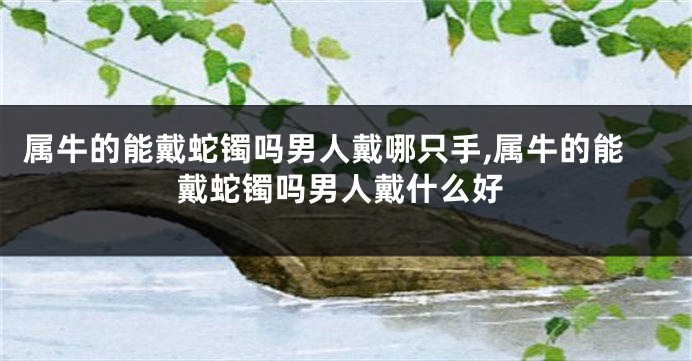 属牛的能戴蛇镯吗男人戴哪只手,属牛的能戴蛇镯吗男人戴什么好