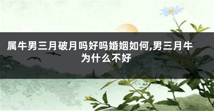 属牛男三月破月吗好吗婚姻如何,男三月牛为什么不好