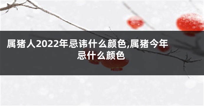 属猪人2022年忌讳什么颜色,属猪今年忌什么颜色