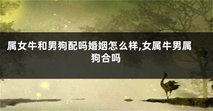 属女牛和男狗配吗婚姻怎么样,女属牛男属狗合吗
