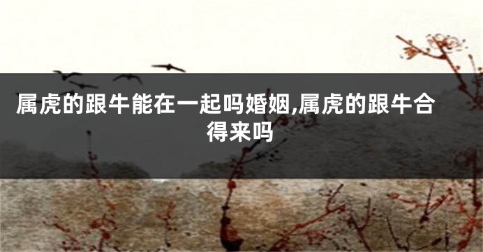 属虎的跟牛能在一起吗婚姻,属虎的跟牛合得来吗