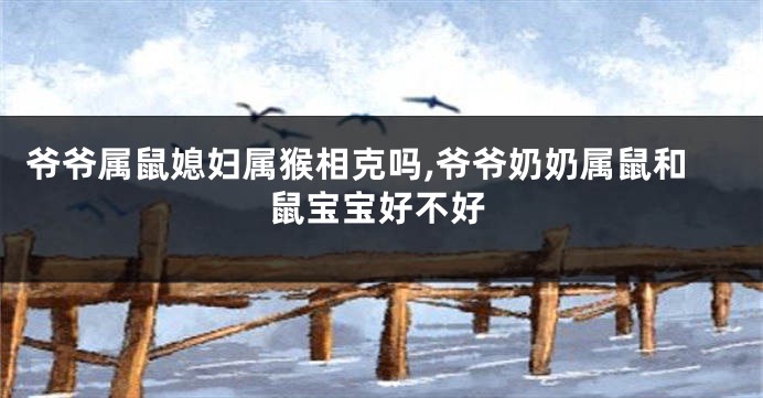爷爷属鼠媳妇属猴相克吗,爷爷奶奶属鼠和鼠宝宝好不好