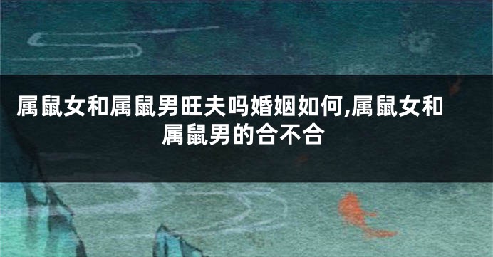 属鼠女和属鼠男旺夫吗婚姻如何,属鼠女和属鼠男的合不合