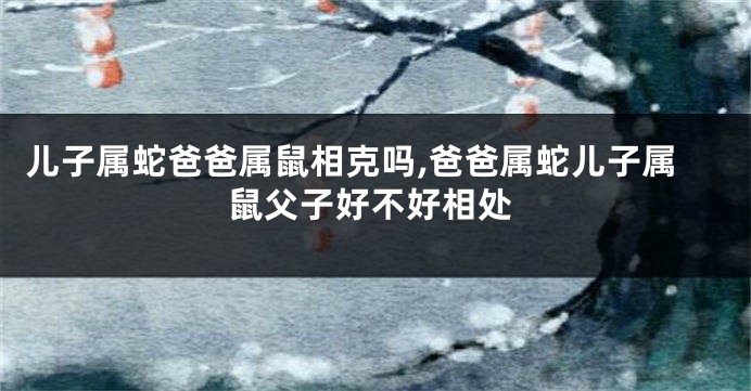 儿子属蛇爸爸属鼠相克吗,爸爸属蛇儿子属鼠父子好不好相处