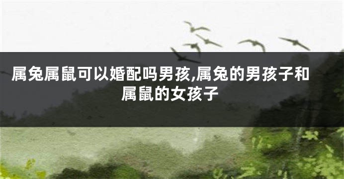 属兔属鼠可以婚配吗男孩,属兔的男孩子和属鼠的女孩子