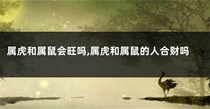 属虎和属鼠会旺吗,属虎和属鼠的人合财吗