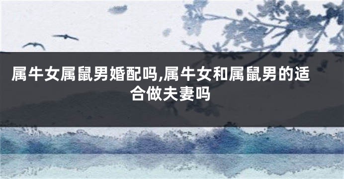 属牛女属鼠男婚配吗,属牛女和属鼠男的适合做夫妻吗