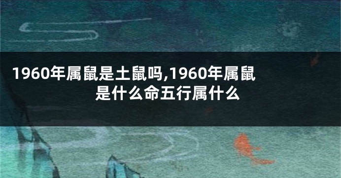 1960年属鼠是土鼠吗,1960年属鼠是什么命五行属什么