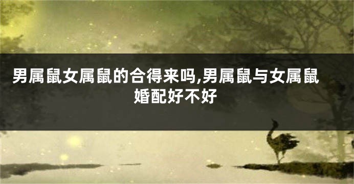 男属鼠女属鼠的合得来吗,男属鼠与女属鼠婚配好不好