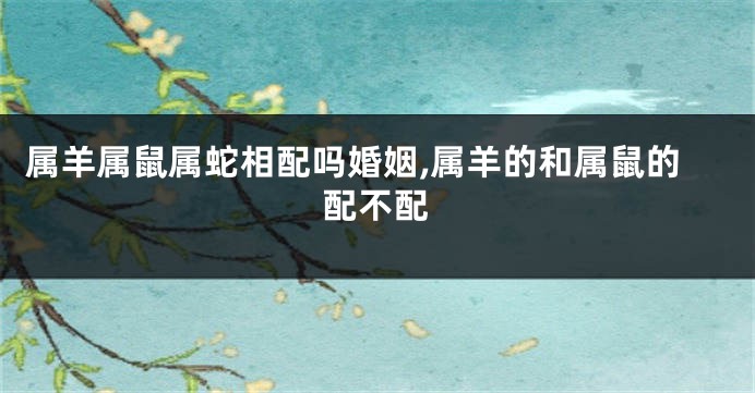 属羊属鼠属蛇相配吗婚姻,属羊的和属鼠的配不配