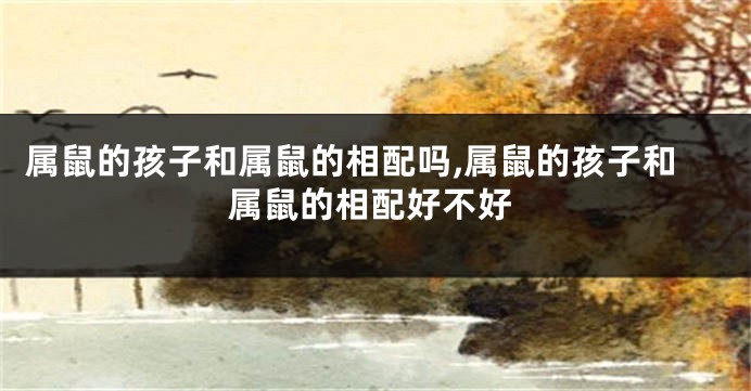 属鼠的孩子和属鼠的相配吗,属鼠的孩子和属鼠的相配好不好
