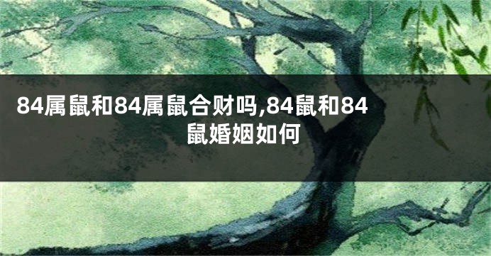 84属鼠和84属鼠合财吗,84鼠和84鼠婚姻如何