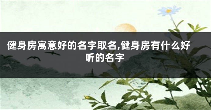 健身房寓意好的名字取名,健身房有什么好听的名字