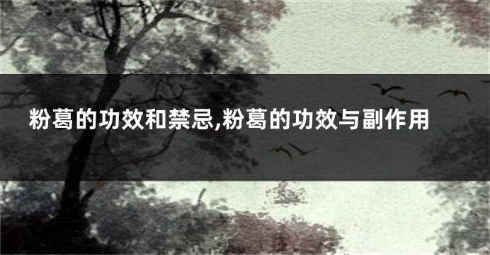 粉葛的功效和禁忌,粉葛的功效与副作用