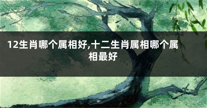 12生肖哪个属相好,十二生肖属相哪个属相最好