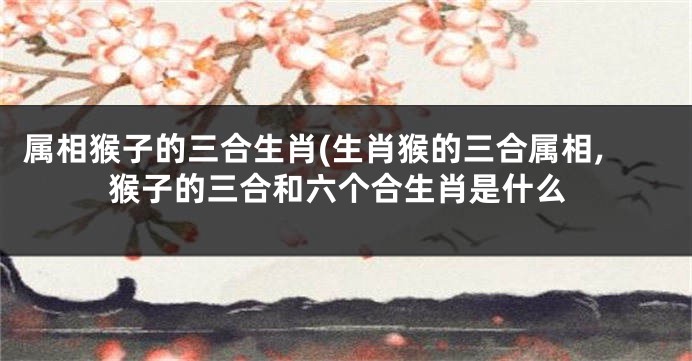属相猴子的三合生肖(生肖猴的三合属相,猴子的三合和六个合生肖是什么