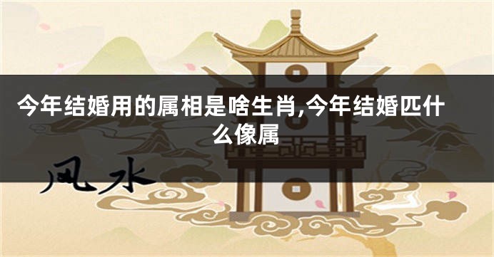 今年结婚用的属相是啥生肖,今年结婚匹什么像属