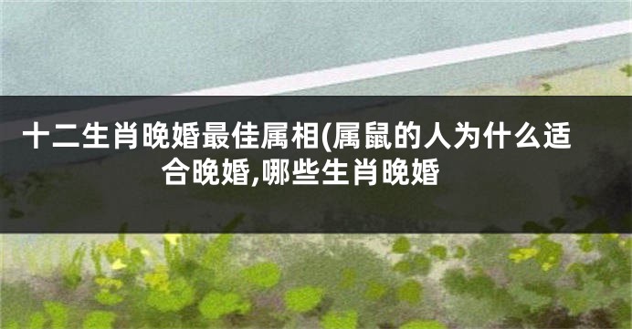 十二生肖晚婚最佳属相(属鼠的人为什么适合晚婚,哪些生肖晚婚