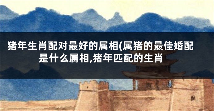 猪年生肖配对最好的属相(属猪的最佳婚配是什么属相,猪年匹配的生肖
