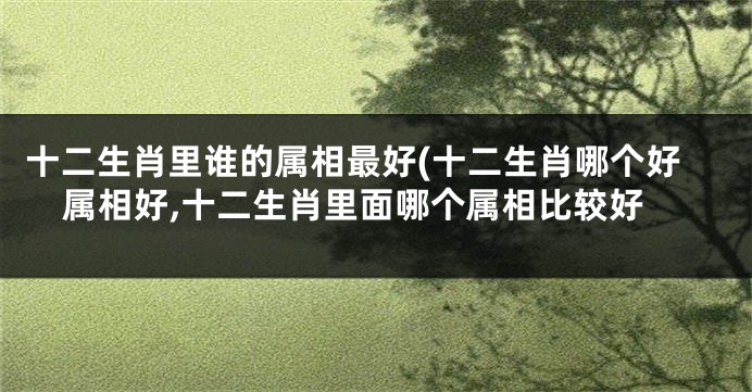 十二生肖里谁的属相最好(十二生肖哪个好属相好,十二生肖里面哪个属相比较好