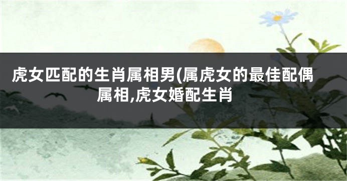虎女匹配的生肖属相男(属虎女的最佳配偶属相,虎女婚配生肖