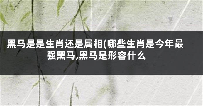 黑马是是生肖还是属相(哪些生肖是今年最强黑马,黑马是形容什么