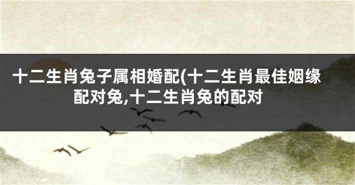 十二生肖兔子属相婚配(十二生肖最佳姻缘配对兔,十二生肖兔的配对
