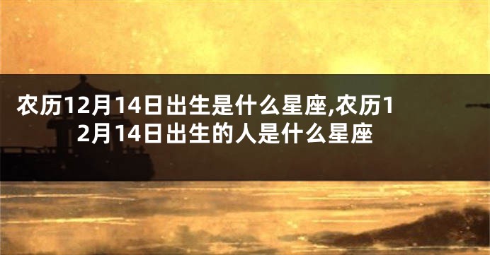 农历12月14日出生是什么星座,农历12月14日出生的人是什么星座