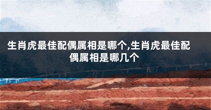 生肖虎最佳配偶属相是哪个,生肖虎最佳配偶属相是哪几个