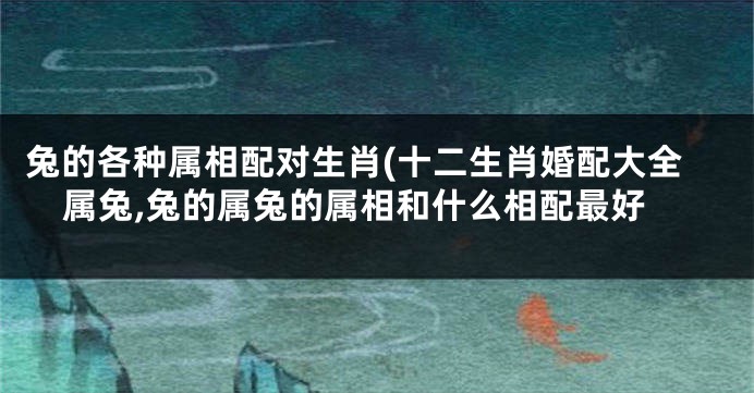 兔的各种属相配对生肖(十二生肖婚配大全属兔,兔的属兔的属相和什么相配最好
