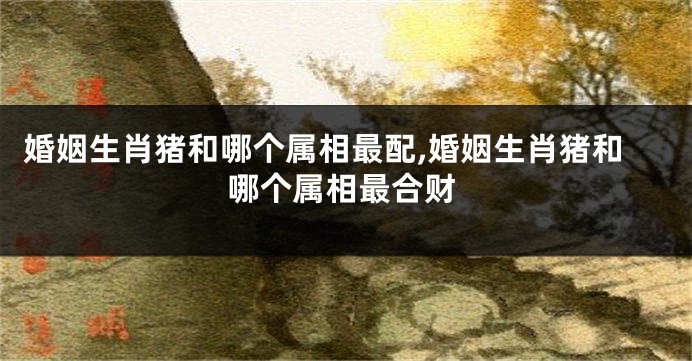 婚姻生肖猪和哪个属相最配,婚姻生肖猪和哪个属相最合财