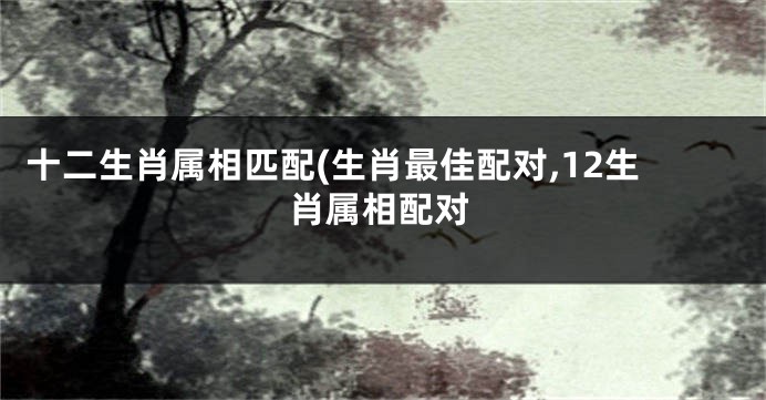 十二生肖属相匹配(生肖最佳配对,12生肖属相配对
