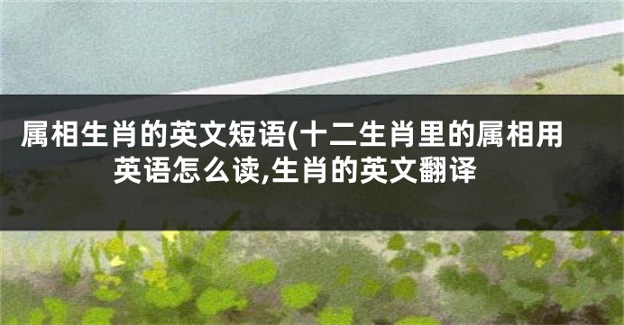 属相生肖的英文短语(十二生肖里的属相用英语怎么读,生肖的英文翻译