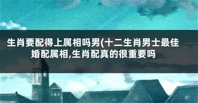 生肖要配得上属相吗男(十二生肖男士最佳婚配属相,生肖配真的很重要吗