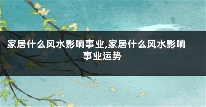 家居什么风水影响事业,家居什么风水影响事业运势