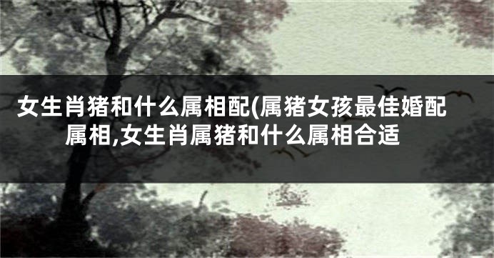 女生肖猪和什么属相配(属猪女孩最佳婚配属相,女生肖属猪和什么属相合适