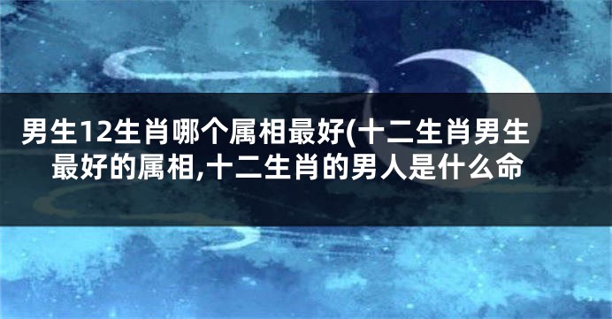 男生12生肖哪个属相最好(十二生肖男生最好的属相,十二生肖的男人是什么命